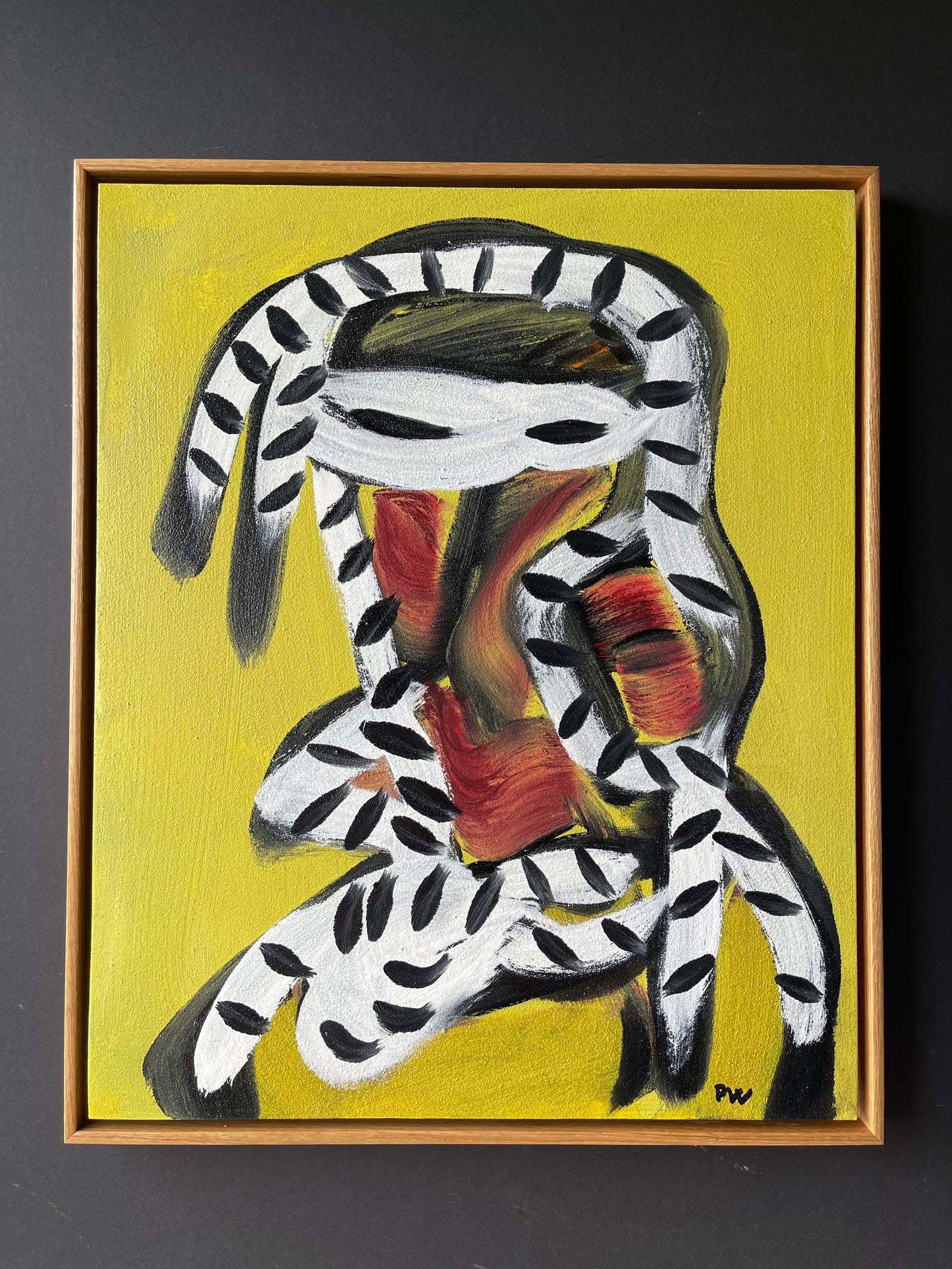 Zebra Zorro